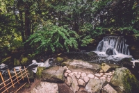 4 verschillende soorten tuinstyling: welke is geschikt voor jou?